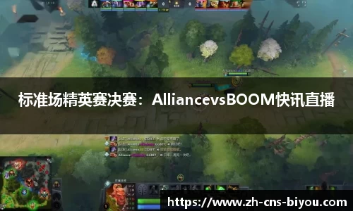 标准场精英赛决赛：AlliancevsBOOM快讯直播